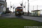 WT8C3661